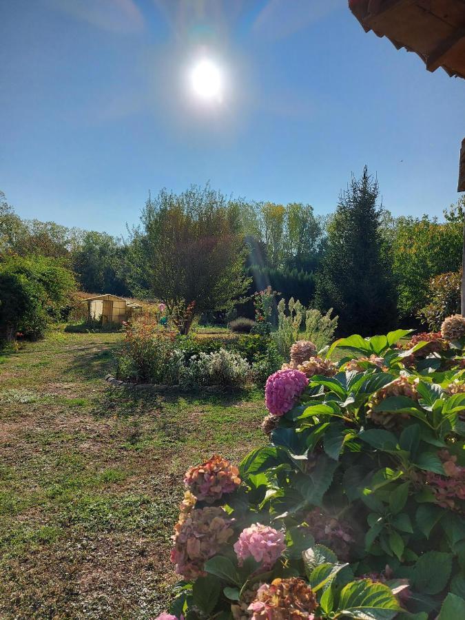 Le Moulin De L'Etang Hotel Chaneins Luaran gambar