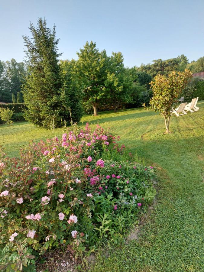 Le Moulin De L'Etang Hotel Chaneins Luaran gambar